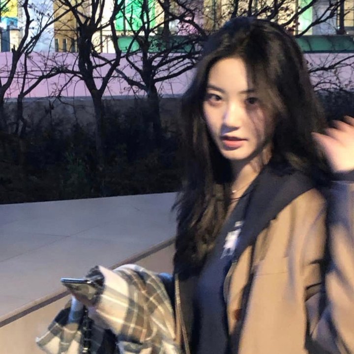 万紫千红花弄蝶